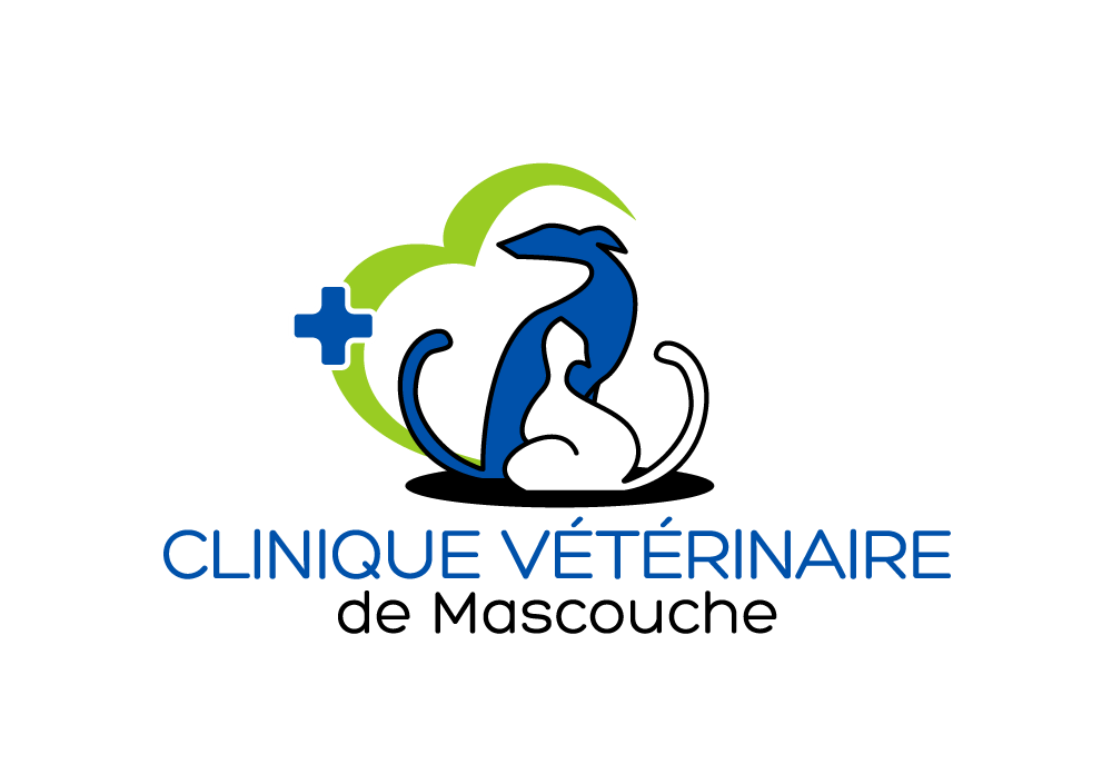 Vidéo promotionelle Administration Clinique Vétérinaire de Mascouche