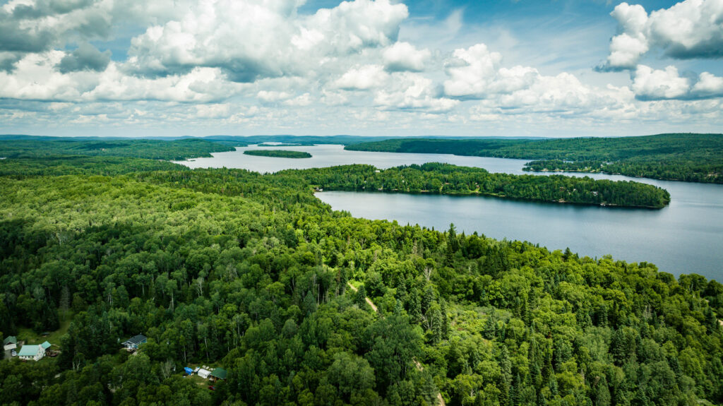 Voir la nature autrement : quand le drone révèle l’invisible!
